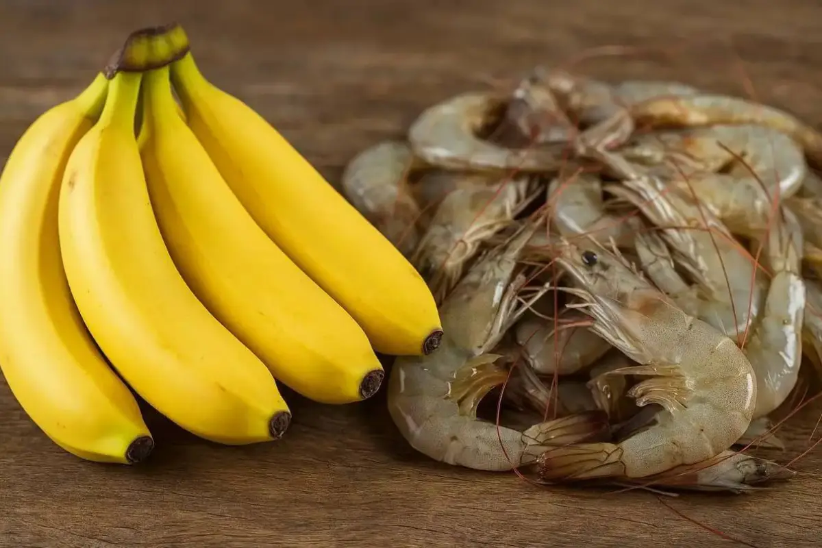 Exportaciones no petroleras de Ecuador: banano y camarón lideran.