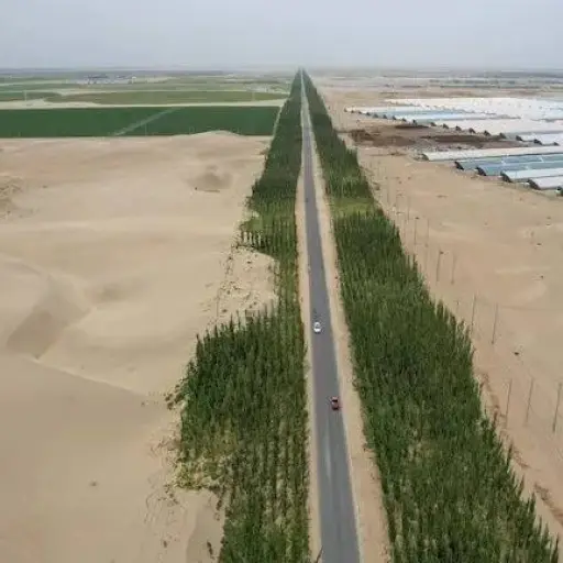 El desierto más árido de China ahora captura carbono: así avanza la muralla verde