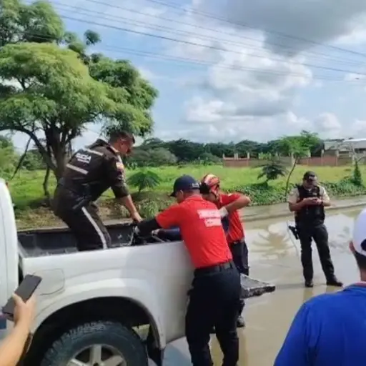 Ciclista de 89 años pierde la vida tras ser arrollado por un vehículo