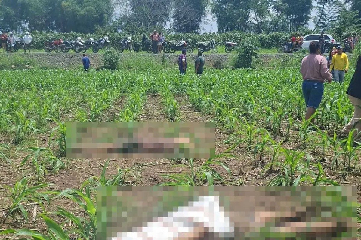 Dos adolescentes desaparecidos fueron hallados sin vida en Ventanas. Los cuerpos estaban en un maizal del recinto La Polvareda, causando conmoción.