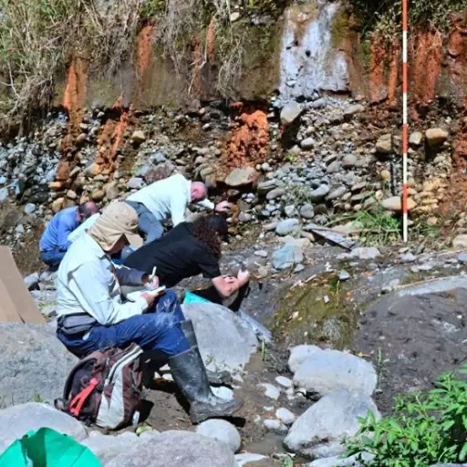  Hallazgo de fósiles de mastodonte y perezoso gigante en Costa Rica