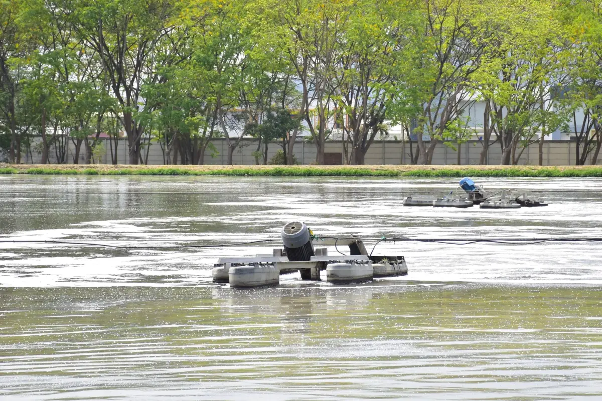 Entre los fondos están para nuevos estudios para la construcción por fases, de la Planta de Tratamiento de Aguas Residuales (PTAR)., El Diario