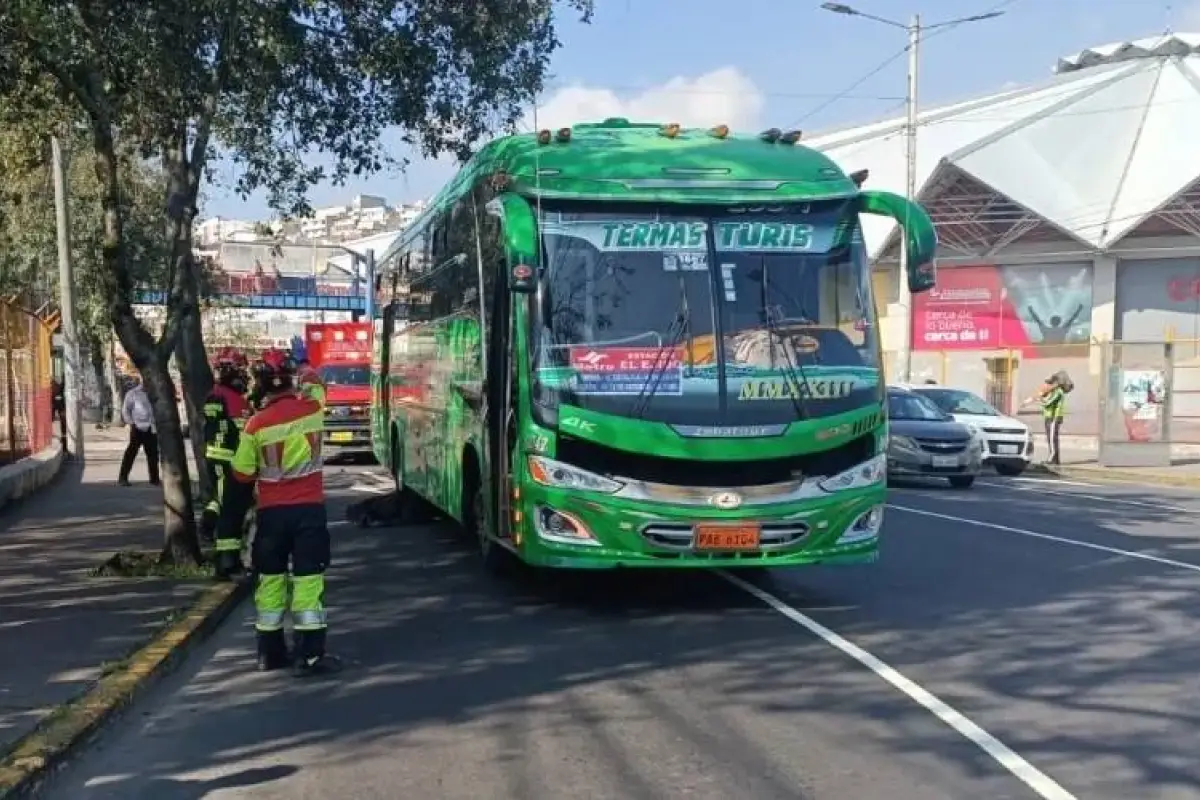 Bus
