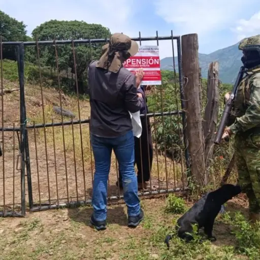 El Gobierno de Ecuador suspende operaciones en 143 puntos de actividades mineras en tres provincias