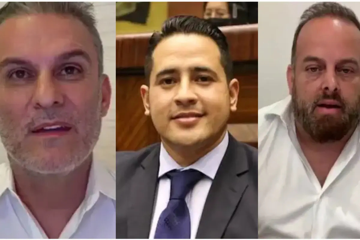 José Serrano, Ronny Aleaga y Xavier Jordán apelan su prisión preventiva en el caso Magnicidio FV  , Composición