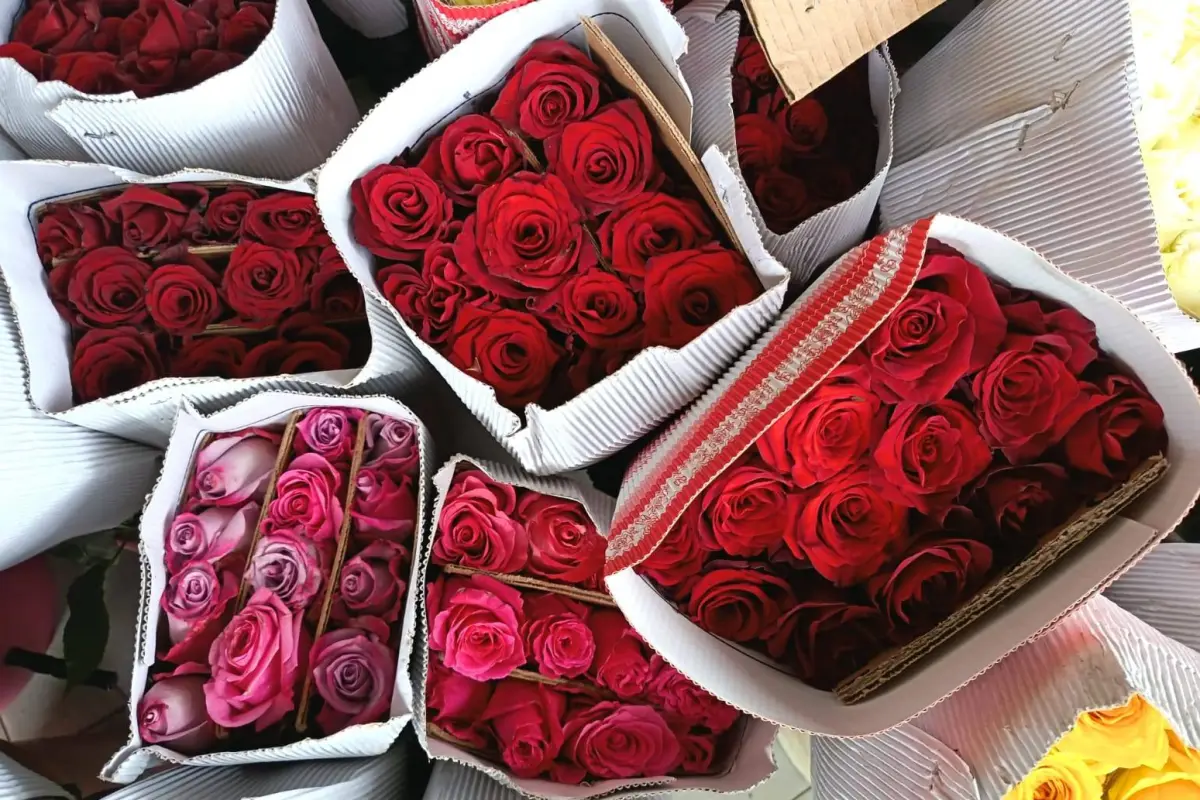 El costo de las rosas subió por la temporada. , Centro