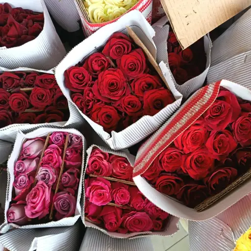 Rosas rojas lideran ventas por San Valentín en la Plaza de las Flores de Santo Domingo