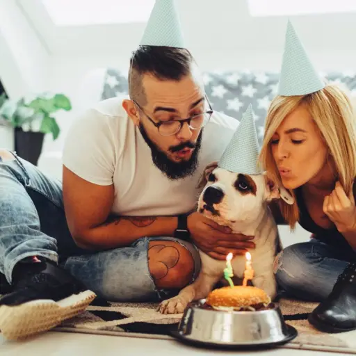 España registra más perros que niños menores de 14 años, según datos oficiales