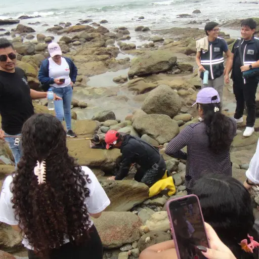 11 propuestas de estudiantes buscan reactivar el potencial turístico y cultural de Ligüiqui