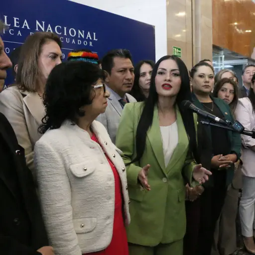 Revolución Ciudadana evalúa un juicio político a vocales del Consejo de la Judicatura tras la renuncia de Mario Godoy
