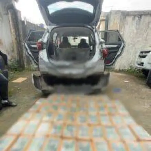 Santo Domingo: incautan más de 200 kilos de cocaína en operativo antidrogas