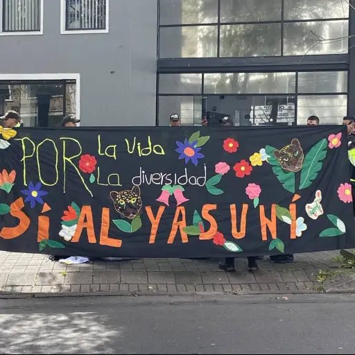 YASunidos acusa persecución política en audiencia del TCE por infracción electoral