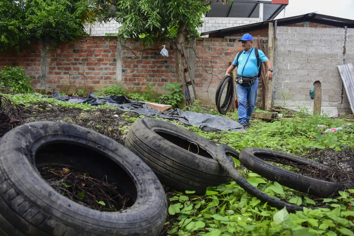 Las autoridades aseguran que eliminar criaderos de mosquitos es clave para prevenir enfermedades como el dengue., El Diario-Archivo.
