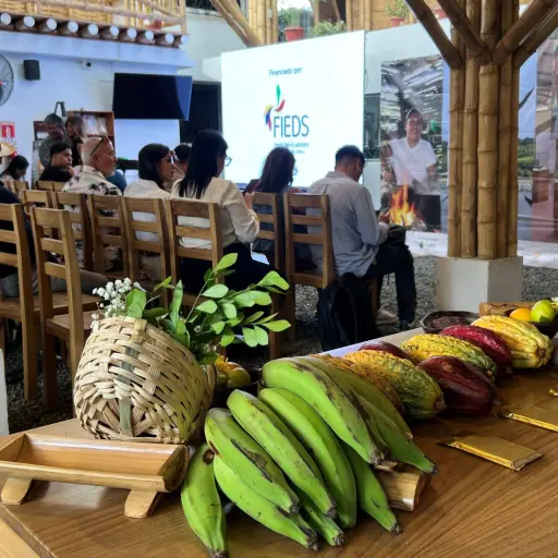 Operadora Raíces oferta paquetes turísticos, culturales y naturales
