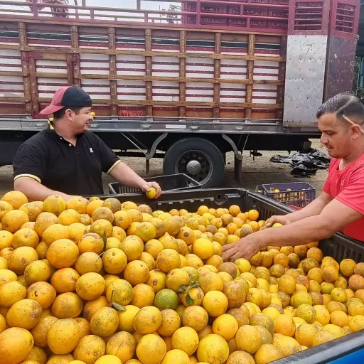 Exportadores de Chone calculan en 5.000 dólares el costo operativo por camión hacia Colombia
