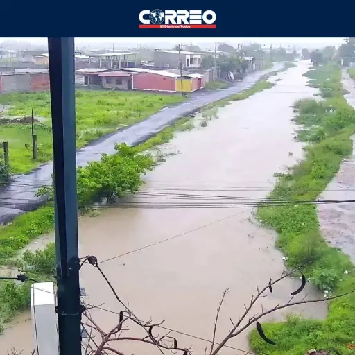 Alerta en Machala: lluvias dejan calles anegadas y caída de poste en vía principal