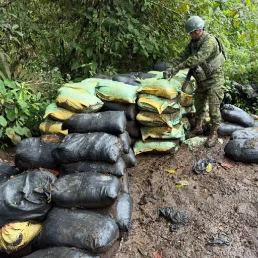 Fuerzas Armadas asestan golpe a la minería ilegal con desmantelamiento de campamento, en Imbabura