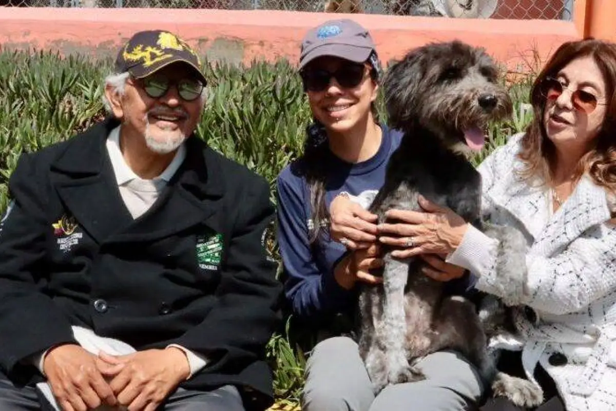 El perro con su nueva familia., Quito Informa