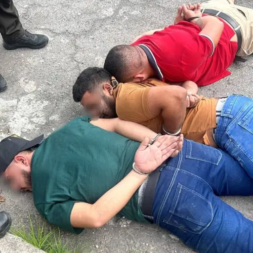 Desmantelan peligrosa banda dedicada al secuestro y tráfico de drogas 