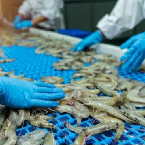 Exportaciones de camarón ecuatoriano en la cuerda floja por aranceles: lo que debes saber
