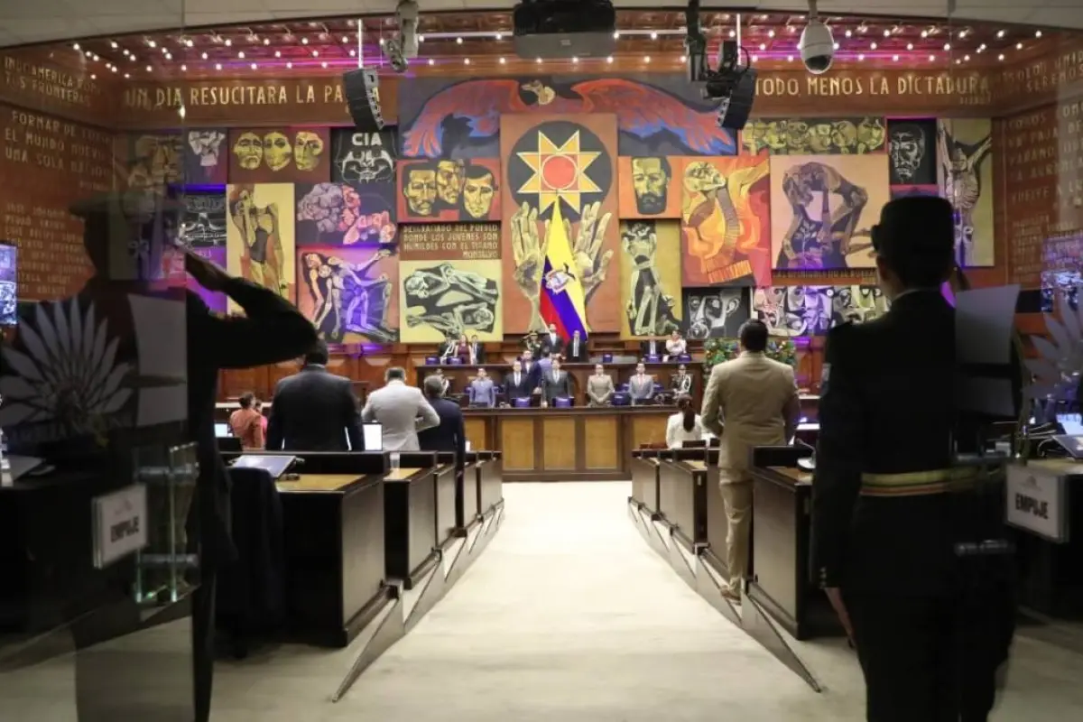 La Asamblea Nacional busca agilizar las adopciones.