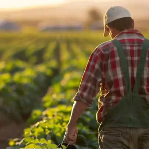 Oportunidad temporal en Estados Unidos: 150 ecuatorianos serán seleccionados para labores agrícolas