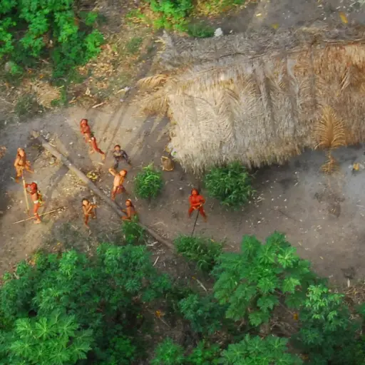 El “genocidio silencioso” en la selva: las amenazas que están exterminando a los pueblos indígenas más aislados del mundo