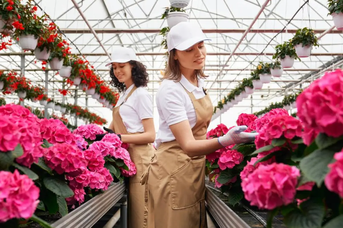 Variedades de flores frescas de Ecuador destinadas a los mercados de Europa y Canadá por la festividad de San Valentín.