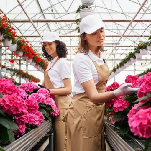 Ecuador proyecta caída de ingresos en exportación de flores por San Valentín