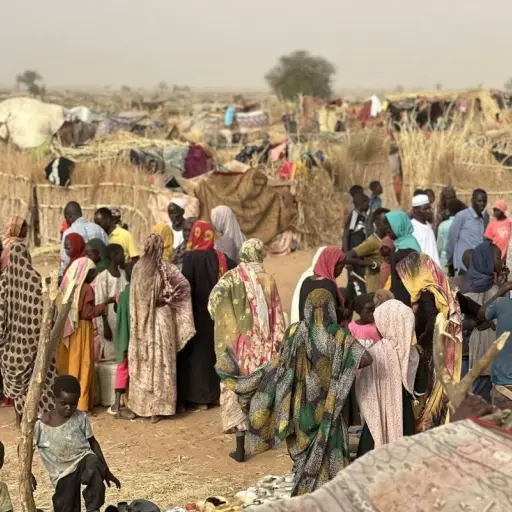 Crisis humanitaria sin precedentes en Sudán: desnutrición aguda alcanza niveles de hambruna en Darfur frente a la creciente violencia del conflicto armado