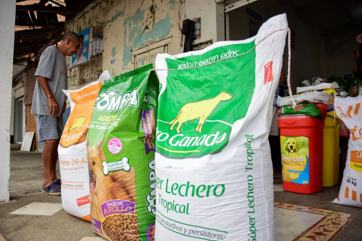 Anuncian incremento de precios de alimentos para mascotas, producción El Diario