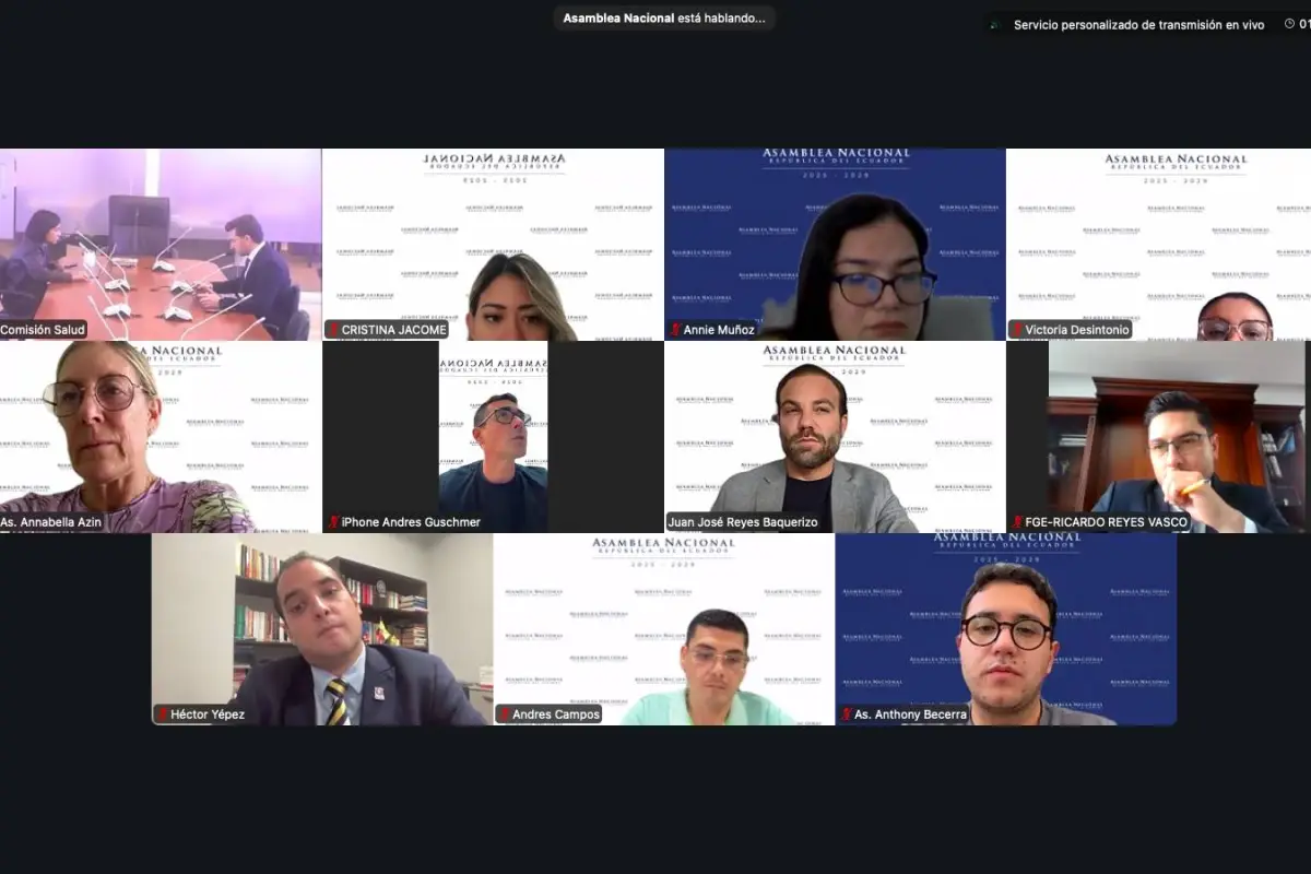 Comisión de Salud recibe criterios técnicos sobre ley de reproducción humana asistida., X: @AsambleaEcuador. 