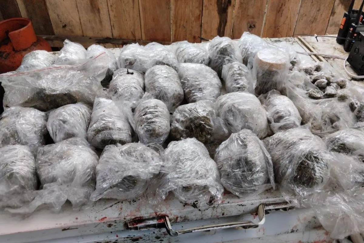Foto referencial de la incautación de marihuana en un operativo ejecutado en enero en Manabí., Policía Nacional.