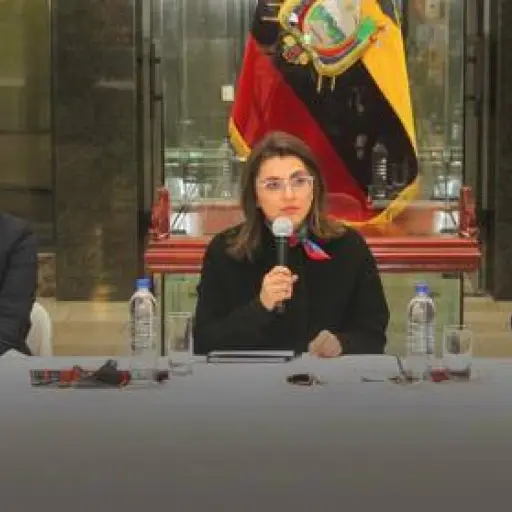 María José Pinto no acudió a la Comisión de Salud para explicar fallas en la red pública