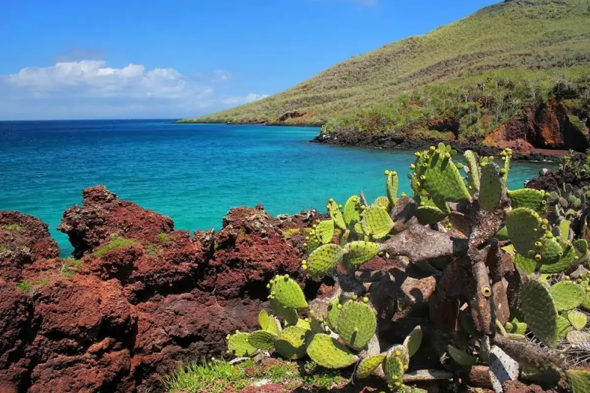 Galápagos