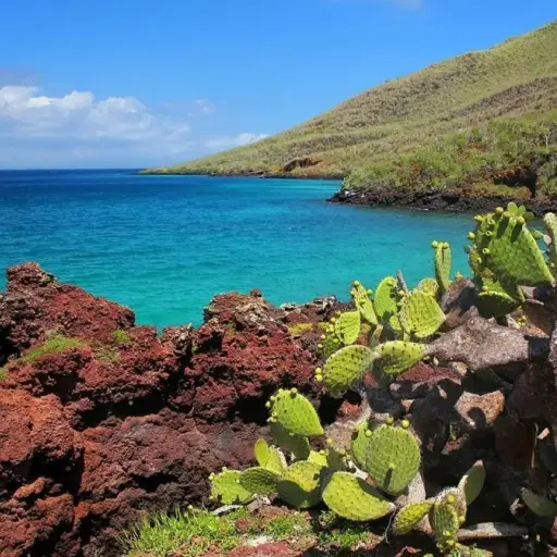 Asamblea autoriza extracción de materiales de construcción fuera del Parque Nacional Galápagos