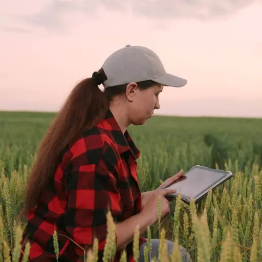 El agro ecuatoriano produce sin desgastar la tierra