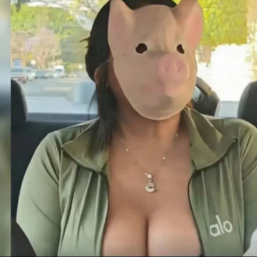 Pasajera que se identifica como “therian cerdita” se negó a pagar viaje en Uber