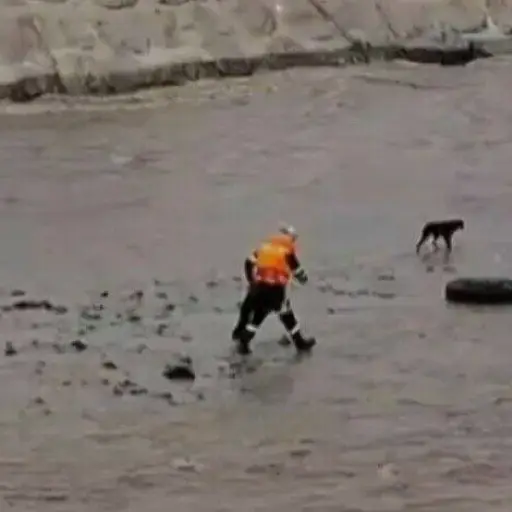 Policía peruano muere tras ser arrastrado por el río tras intentar rescatar a un perro, en Lima