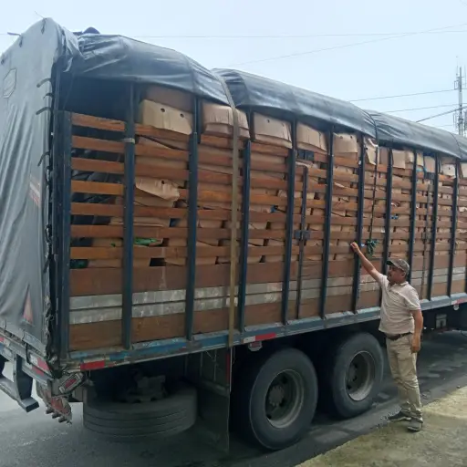 Arancel del 30 % frena ingreso de 30.000 cajas de plátano de El Carmen a Colombia