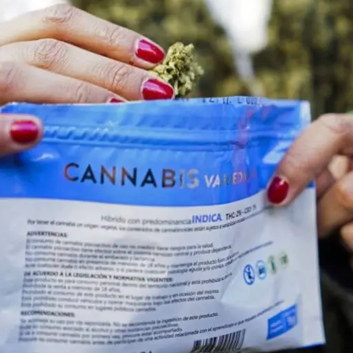 Uruguay evalúa permitir venta de marihuana legal a turistas y extranjeros no residentes