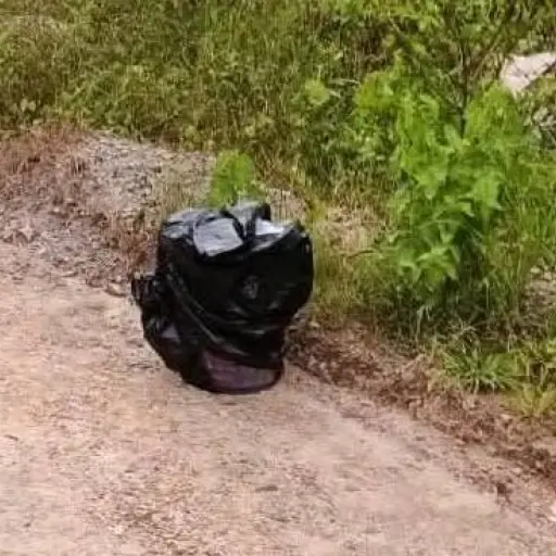 Loja: Policía investiga el hallazgo de cuatro cabezas humanas en baldes con mensaje “Prohibido robar”