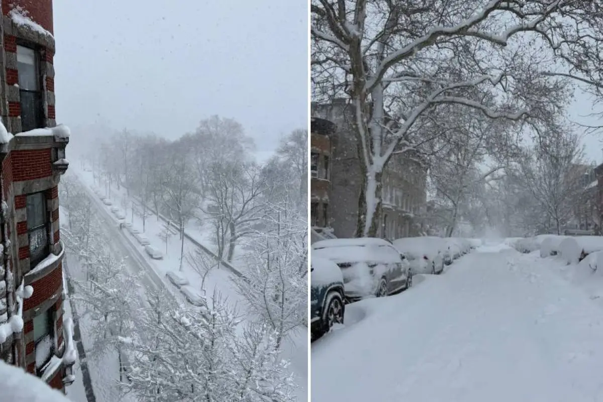 Las calles de Nueva York lucieron copadas de nieve. 