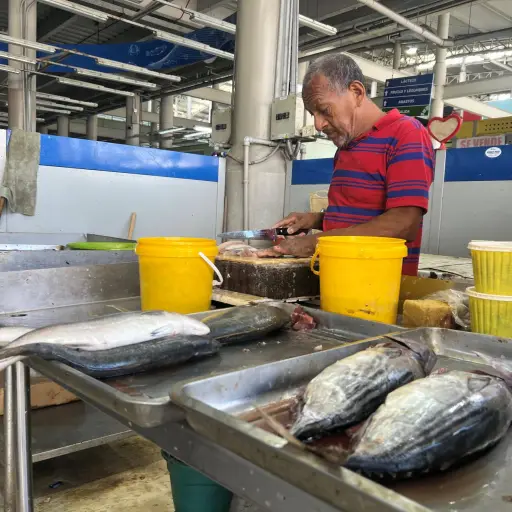 Albacora y picudo dominan la venta de pescado ante la ausencia de especies pequeñas