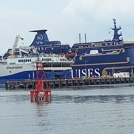 Al menos un muerto por un incendio a bordo de un crucero con destino Singapur