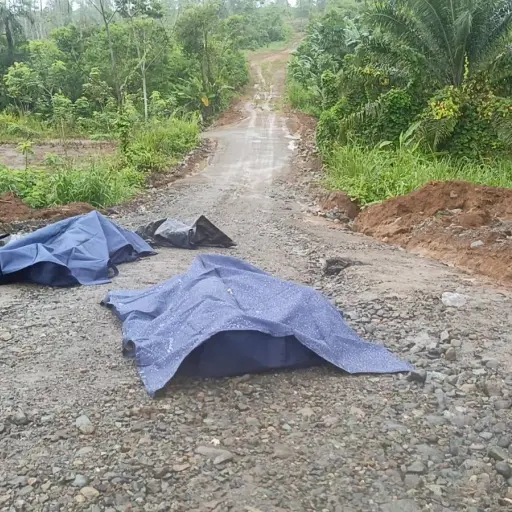 Impacto en El Carmen: dos desaparecidos de Santo Domingo fueron hallados sin vida