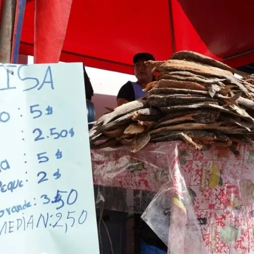 Un análisis genético destapa qué pescado se vende realmente en mercados de Quito y Cuenca