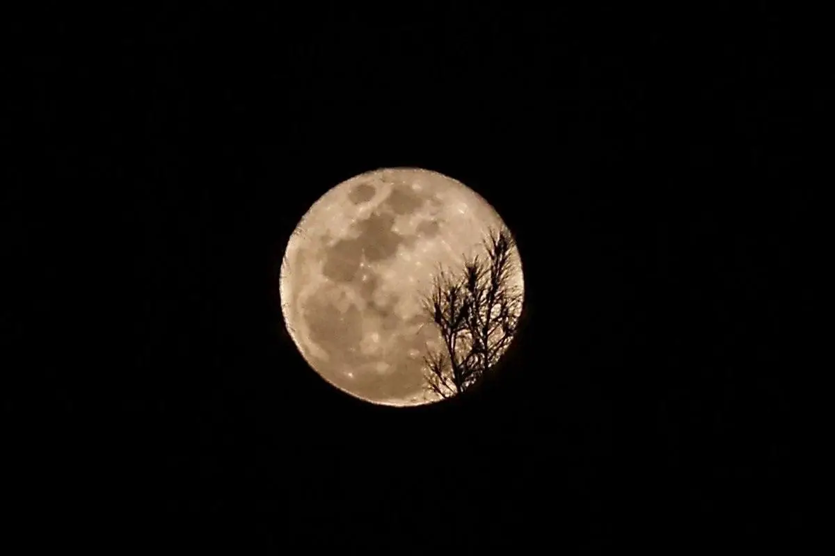 LA LUNA