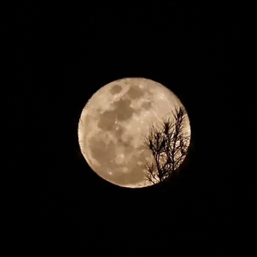 ¿La luna llena realmente altera el sueño? La ciencia vuelve a mirar al cielo