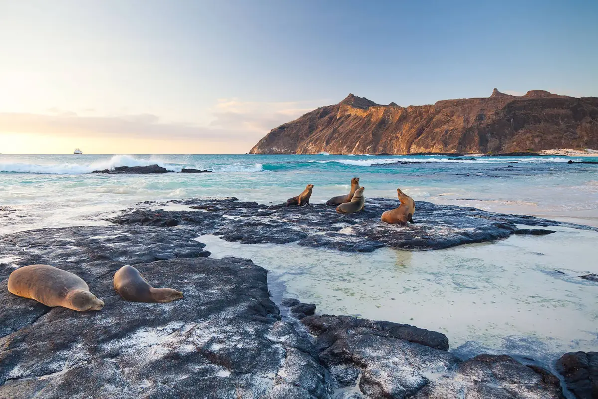 Vista del Parque Nacional Galápagos, área protegida donde el Ministerio de Ambiente de Ecuador prohíbe toda actividad minera tras la nueva ley.